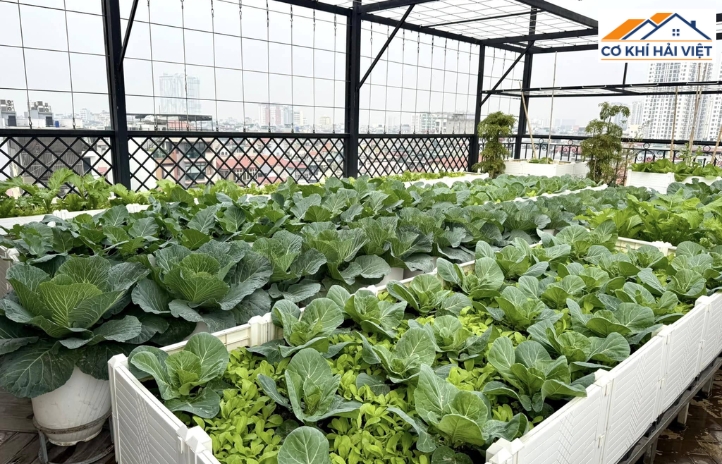 Nếu yêu thích không gian xanh, bạn có thể cân nhắc lắp đặt mái tôn có giàn leo hoặc chỗ trồng cây xanh