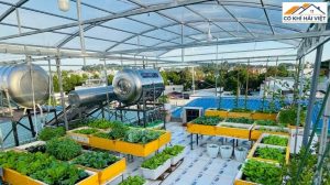 Chọn đúng mẫu mái tôn sân thượng đẹp giúp không gian mát mẻ, tăng tính thẩm mỹ và bảo vệ hiệu quả trước nắng mưa quanh năm cho ngôi nhà của bạn.